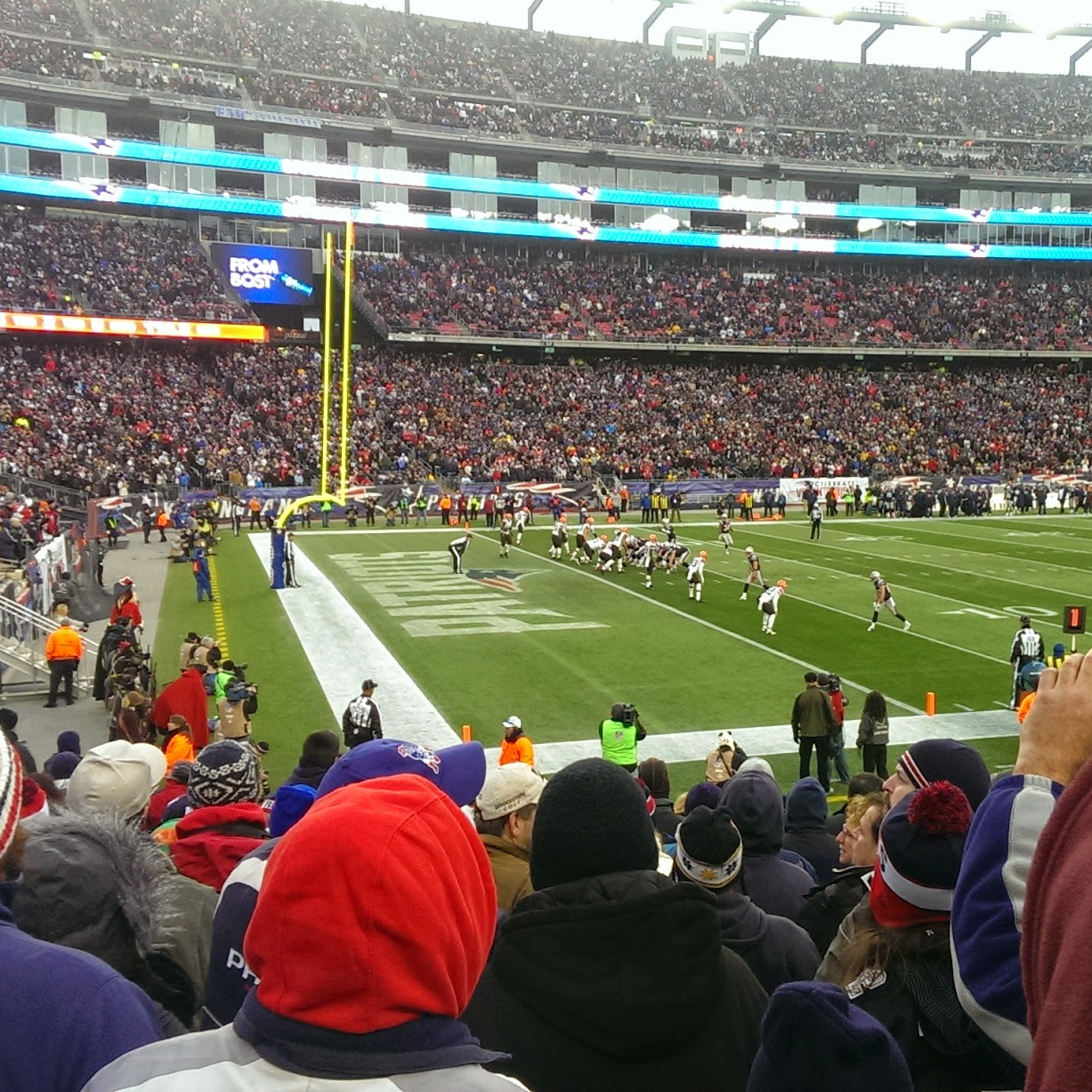 NFL section